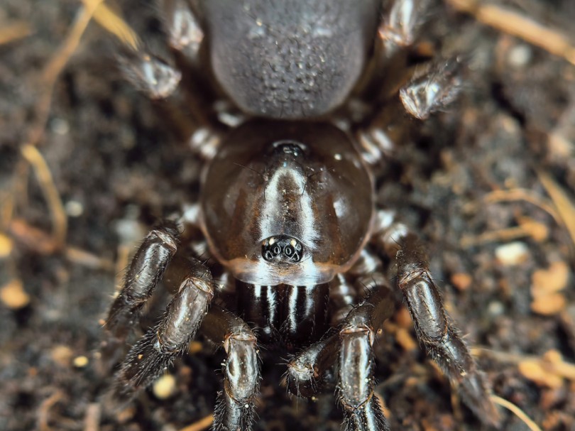 九游体育官网 -躿(躿体瘦身一般瘦哪里)