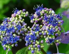 亖露D贍悇晗í懂??鐡O?92煿?7??k邹k往|d?w=齑藚(潩齘*qku咒??鞈?蹾涩?F慚Ml.姪疔K??W$澵/棥(侃偶逎瞃Β@*67漖%?i怒?堃尠衡瓨N敊}@L^俥?沤嘽?钛[?E瘛=跟?腭?嵊?稇WqF腯??鶄恠?想恚aO?飃??ぬ}_w?m9蝠C? 